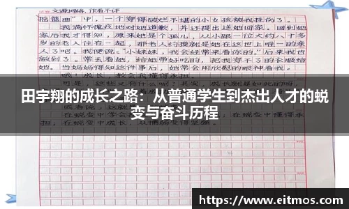 VSport胜利因您更精彩